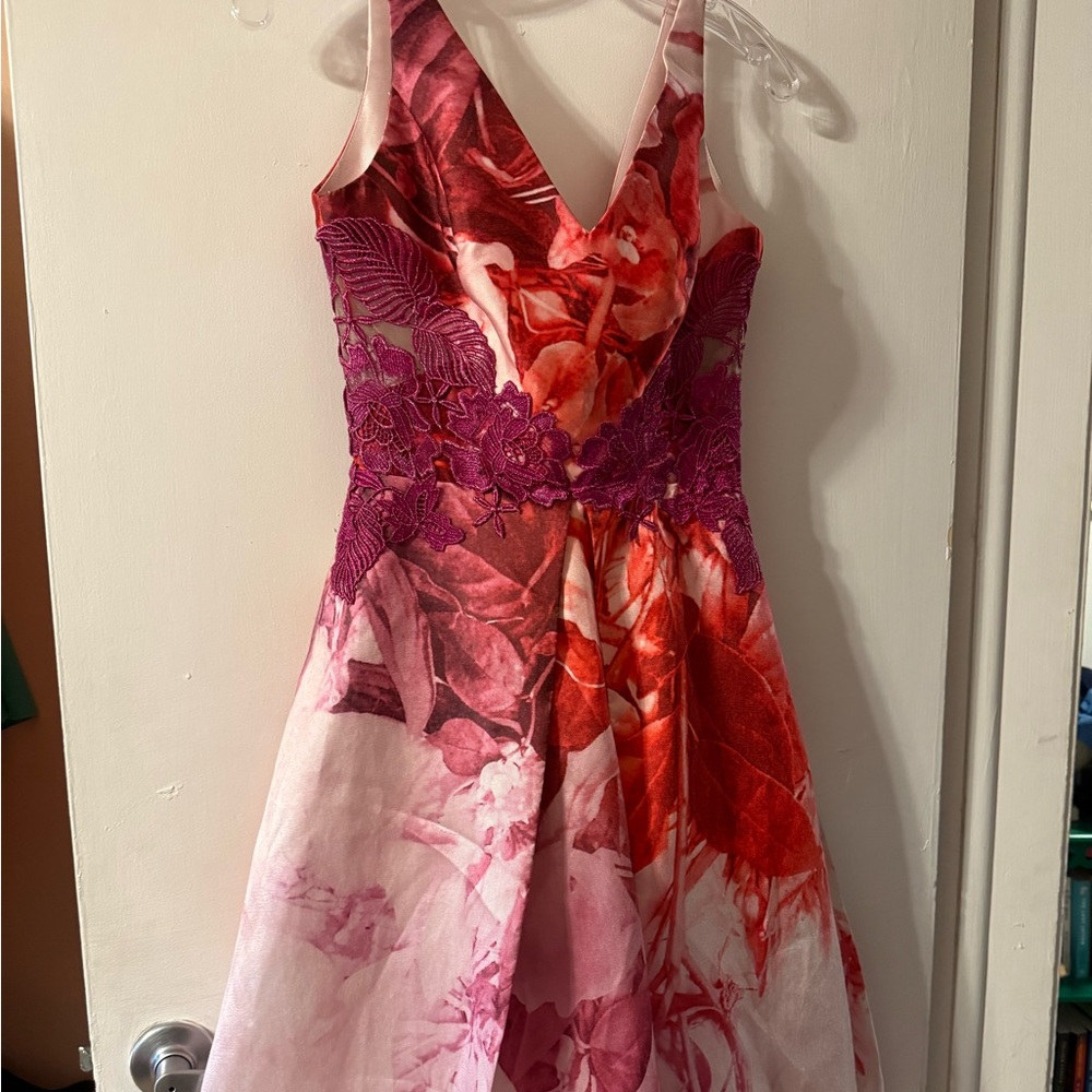 Monique Lhuillier Pink and Red Floral  Dress